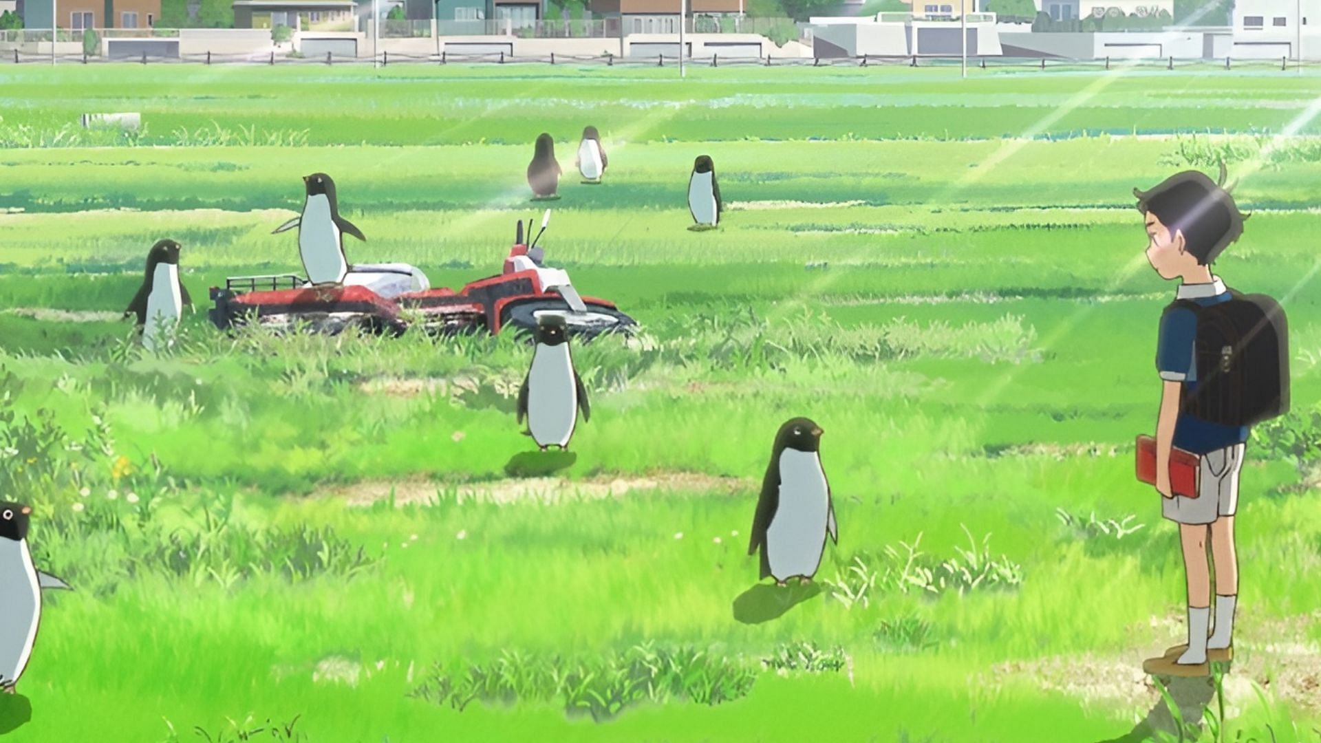 Penguin Highway anime (Image via Studio Colorido)